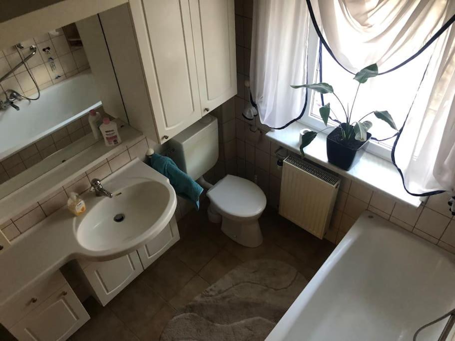 Ferienwohnung In Golssen/Spreewald, Tropical Island 외부 사진